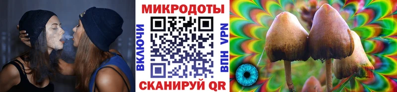 где можно купить   это как зайти  Галлюциногенные грибы Psilocybe  Балахна  МЕГА сайт 