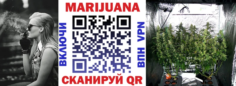 Каннабис планчик Балахна